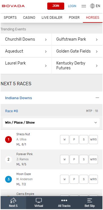 Bovada Racebook Review .